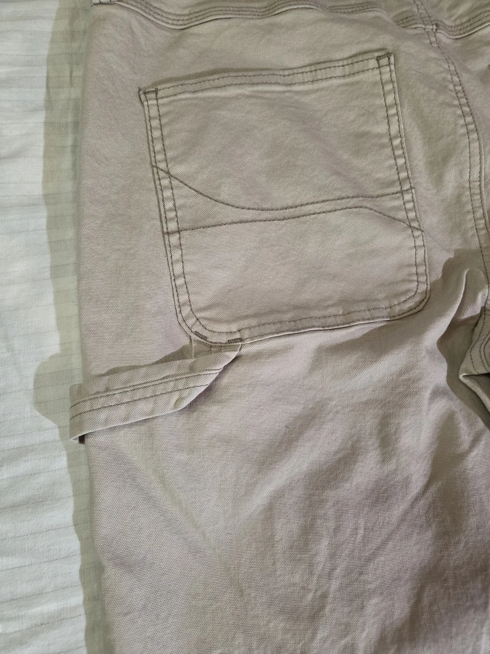 Hollister classic carpenter
